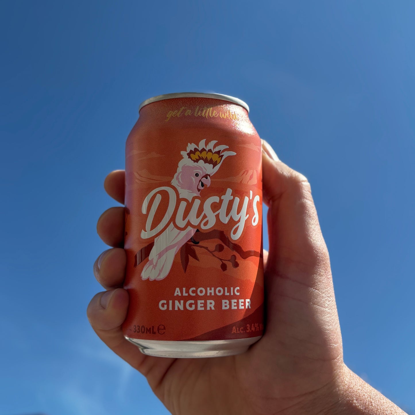 Dusty's Ginger Beer 12x330mL Carton